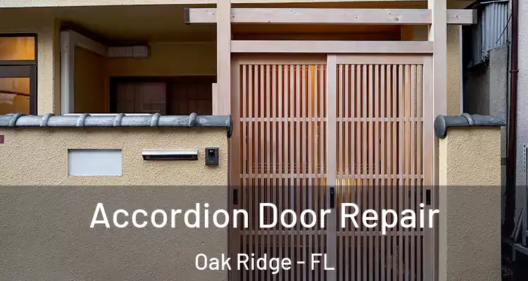  Accordion Door Repair Oak Ridge - FL