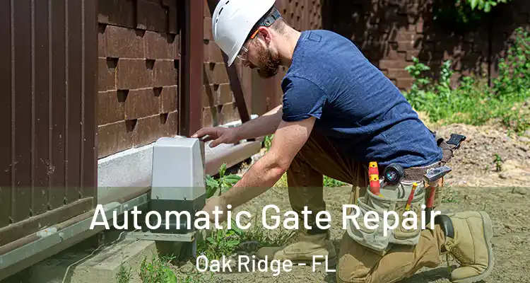  Automatic Gate Repair Oak Ridge - FL