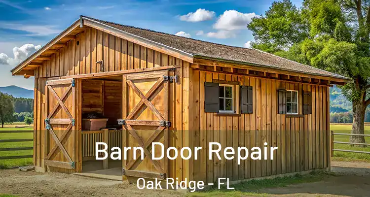  Barn Door Repair Oak Ridge - FL