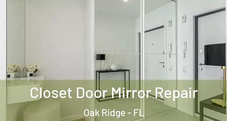  Closet Door Mirror Repair Oak Ridge - FL