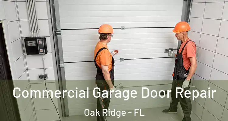  Commercial Garage Door Repair Oak Ridge - FL
