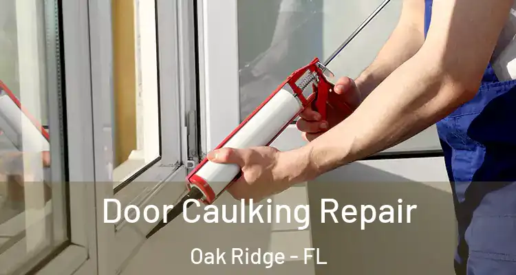  Door Caulking Repair Oak Ridge - FL