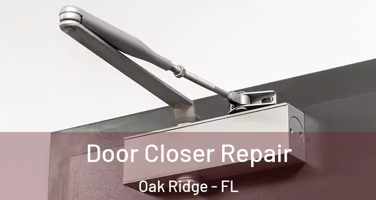  Door Closer Repair Oak Ridge - FL