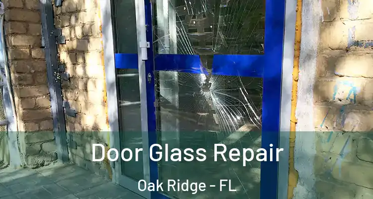  Door Glass Repair Oak Ridge - FL