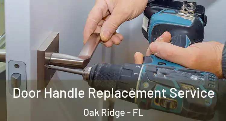  Door Handle Replacement Service Oak Ridge - FL