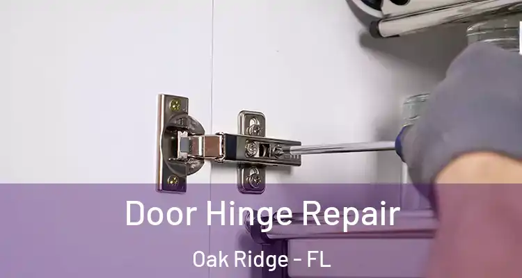  Door Hinge Repair Oak Ridge - FL