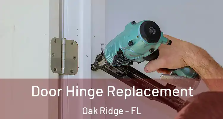  Door Hinge Replacement Oak Ridge - FL