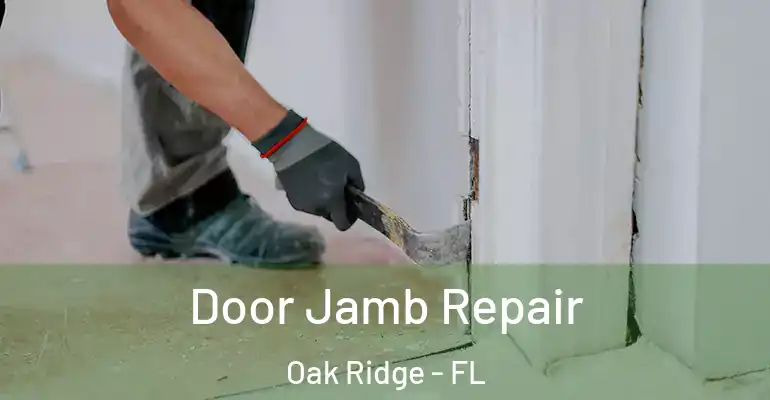  Door Jamb Repair Oak Ridge - FL