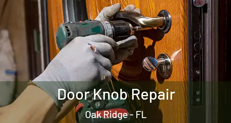  Door Knob Repair Oak Ridge - FL