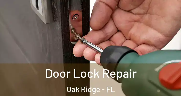  Door Lock Repair Oak Ridge - FL