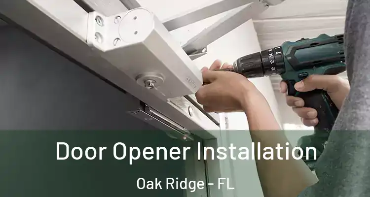 Door Opener Installation Oak Ridge - FL
