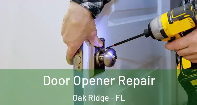  Door Opener Repair Oak Ridge - FL