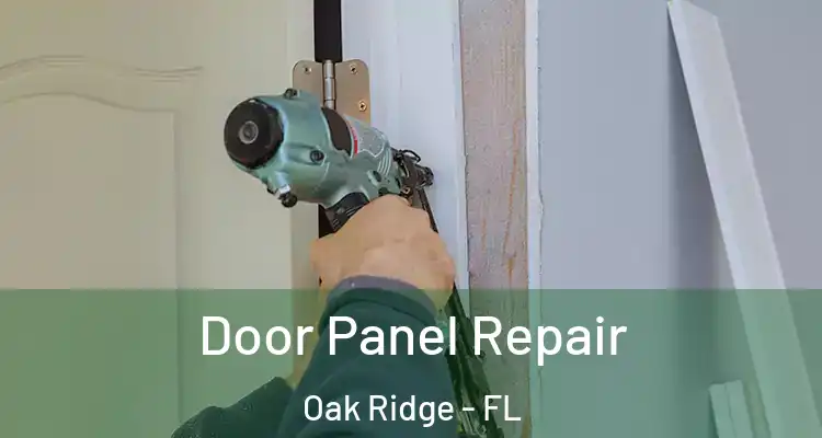  Door Panel Repair Oak Ridge - FL