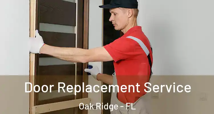  Door Replacement Service Oak Ridge - FL