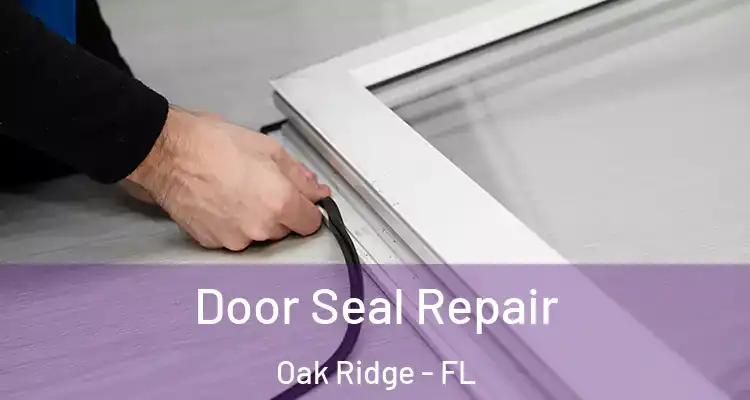  Door Seal Repair Oak Ridge - FL