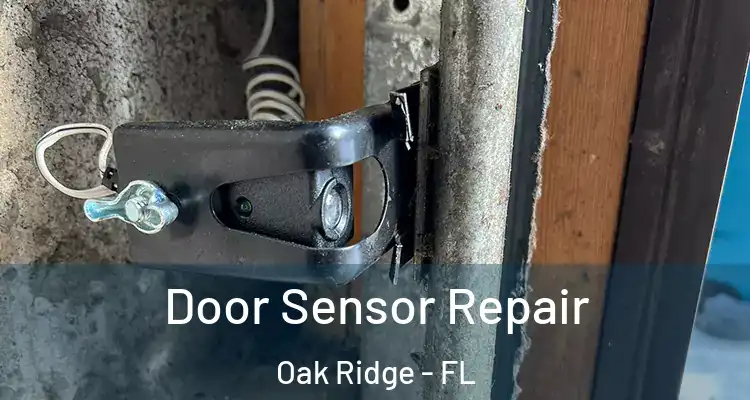  Door Sensor Repair Oak Ridge - FL