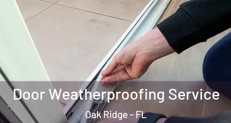  Door Weatherproofing Service Oak Ridge - FL