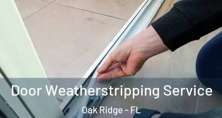  Door Weatherstripping Service Oak Ridge - FL