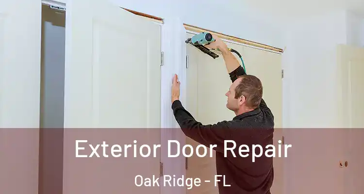  Exterior Door Repair Oak Ridge - FL