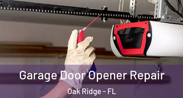  Garage Door Opener Repair Oak Ridge - FL