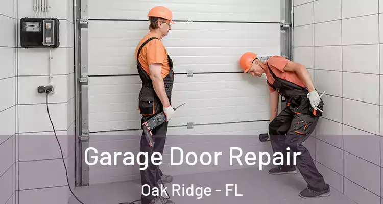  Garage Door Repair Oak Ridge - FL