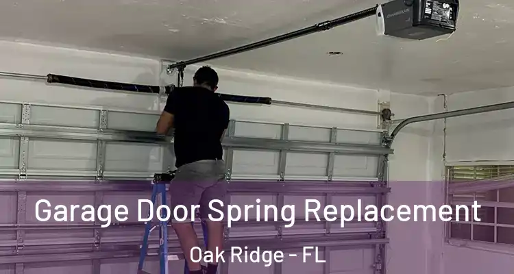 Garage Door Spring Replacement Oak Ridge - FL