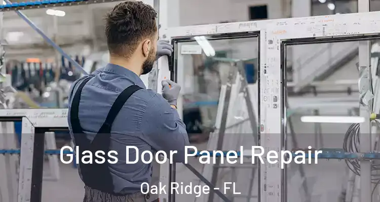  Glass Door Panel Repair Oak Ridge - FL
