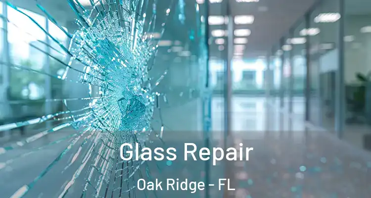  Glass Repair Oak Ridge - FL
