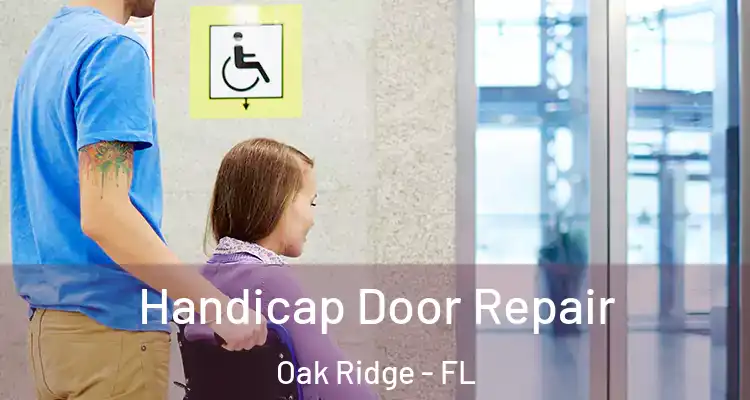 Handicap Door Repair Oak Ridge - FL