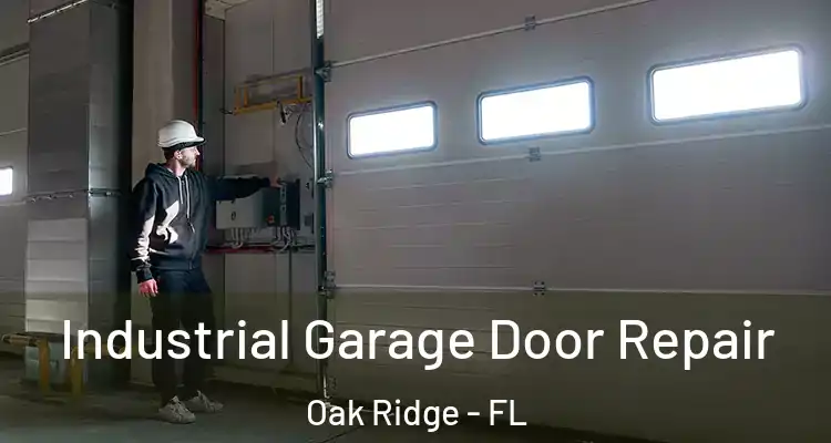  Industrial Garage Door Repair Oak Ridge - FL