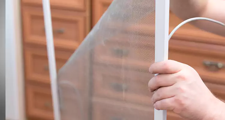 Privacy Mesh Screen Door Installation in Oak Ridge, FL