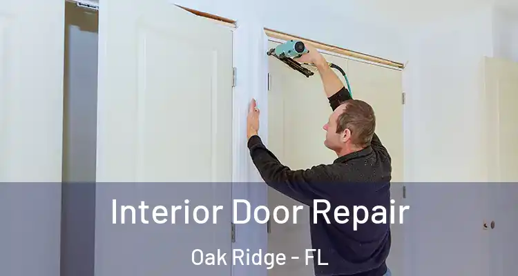  Interior Door Repair Oak Ridge - FL