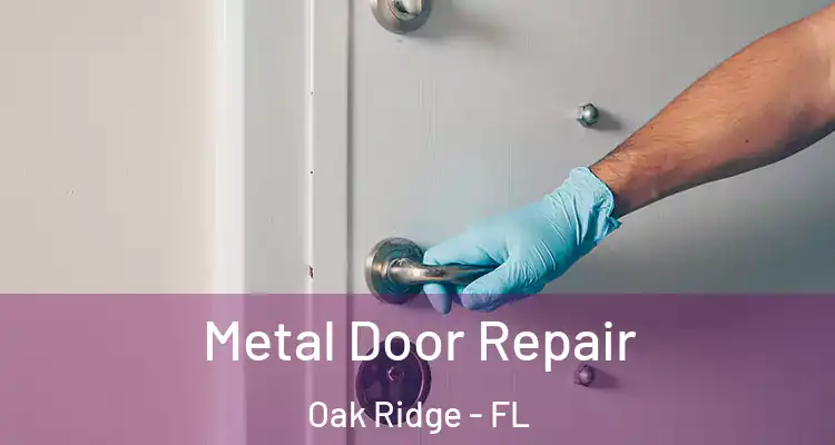  Metal Door Repair Oak Ridge - FL