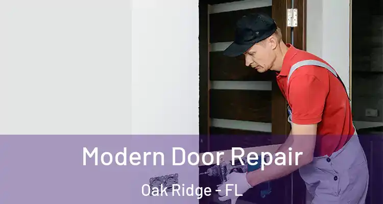  Modern Door Repair Oak Ridge - FL