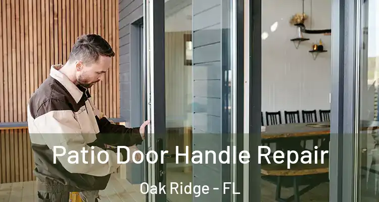  Patio Door Handle Repair Oak Ridge - FL