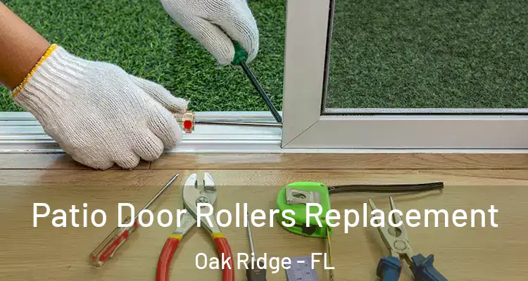  Patio Door Rollers Replacement Oak Ridge - FL