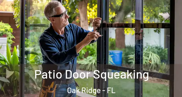  Patio Door Squeaking Oak Ridge - FL