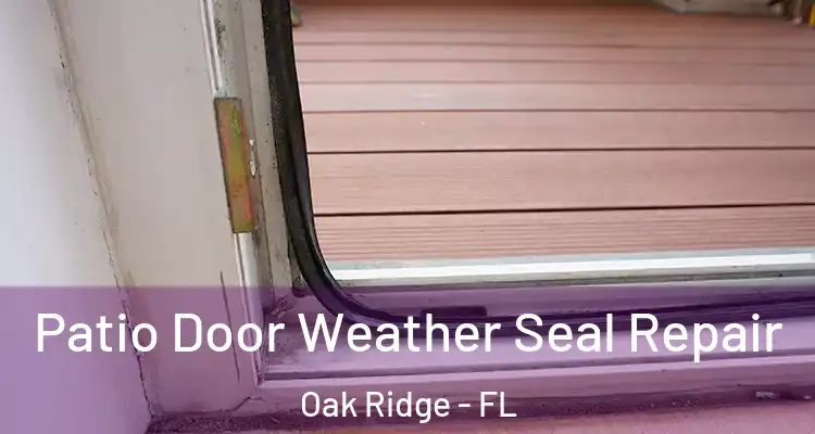  Patio Door Weather Seal Repair Oak Ridge - FL