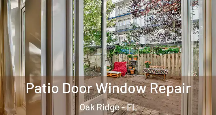 Patio Door Window Repair Oak Ridge - FL
