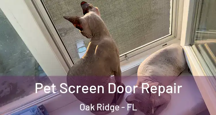  Pet Screen Door Repair Oak Ridge - FL