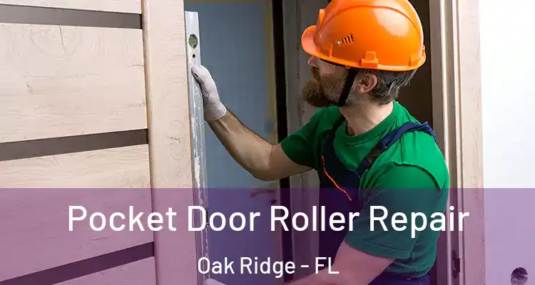  Pocket Door Roller Repair Oak Ridge - FL