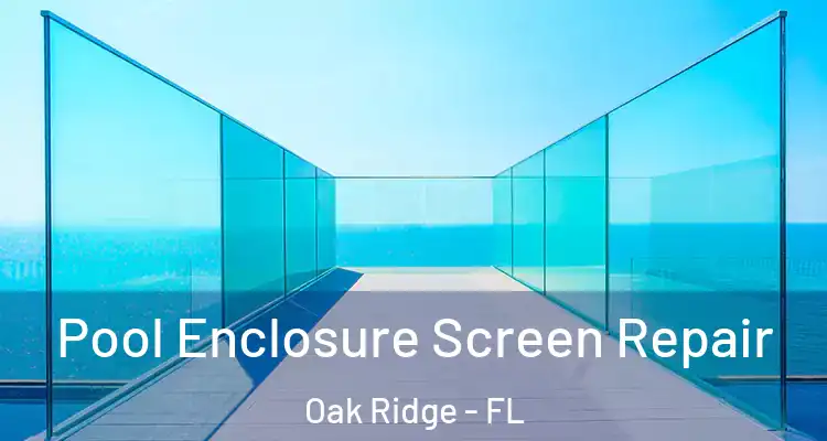  Pool Enclosure Screen Repair Oak Ridge - FL