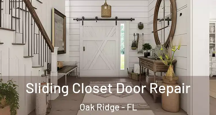  Sliding Closet Door Repair Oak Ridge - FL