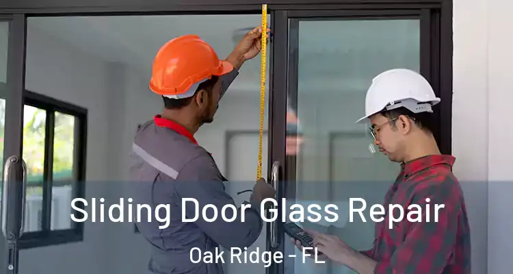  Sliding Door Glass Repair Oak Ridge - FL