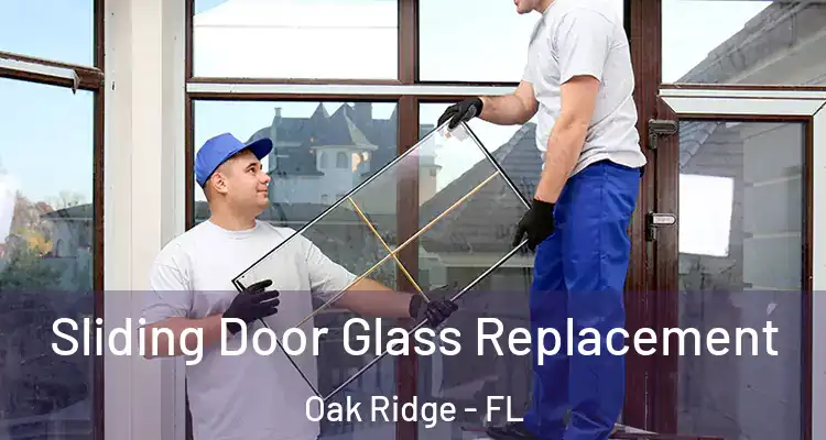  Sliding Door Glass Replacement Oak Ridge - FL