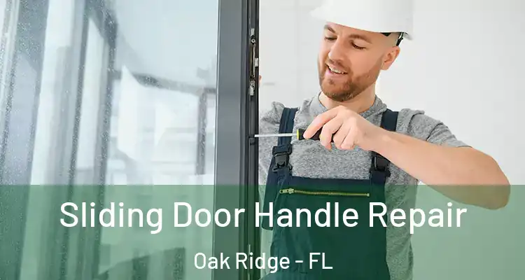  Sliding Door Handle Repair Oak Ridge - FL