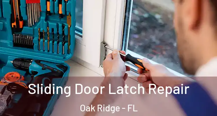  Sliding Door Latch Repair Oak Ridge - FL