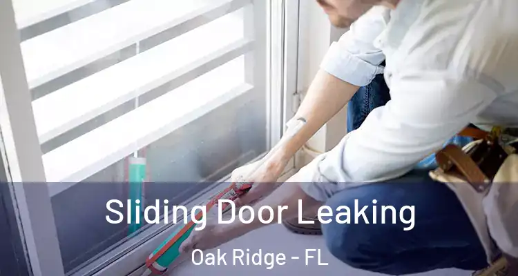  Sliding Door Leaking Oak Ridge - FL