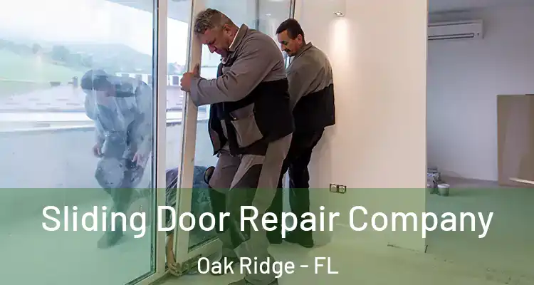  Sliding Door Repair Company Oak Ridge - FL