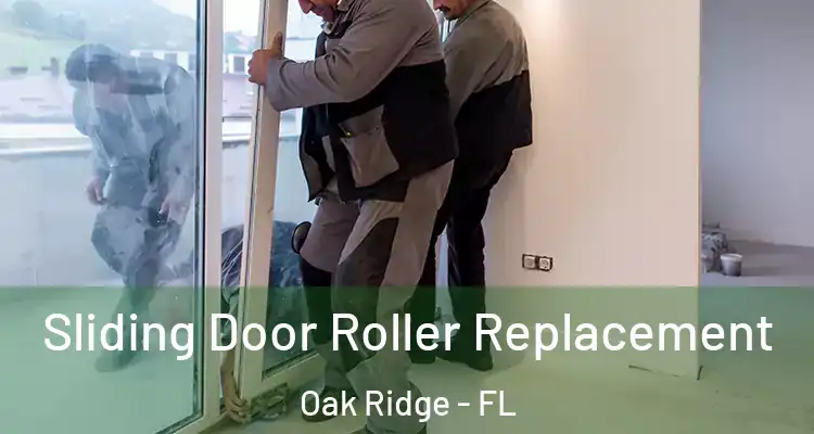  Sliding Door Roller Replacement Oak Ridge - FL